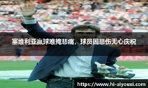 爱游戏ayx